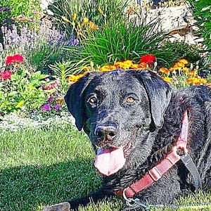 Meet your Posher, Gary